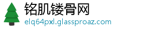 铭肌镂骨网